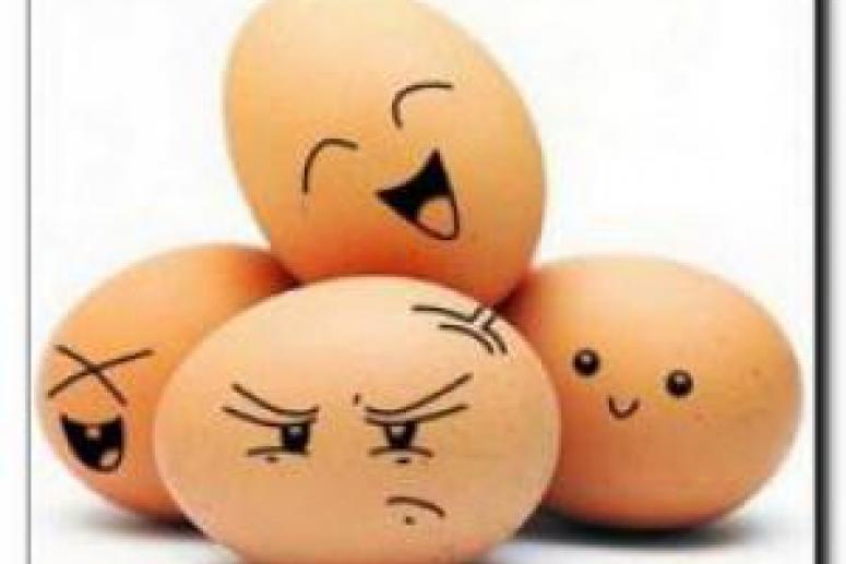Гипоаллергенные яйца: миф или реальность