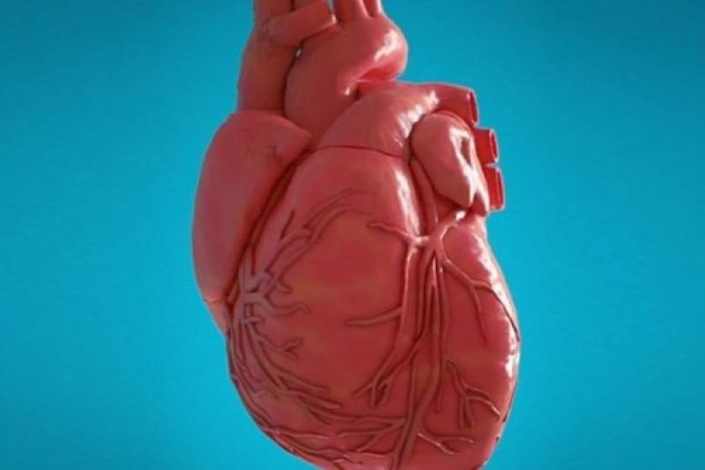 Ученые из США назвали 7 главных факторов влияния на здоровье сердца