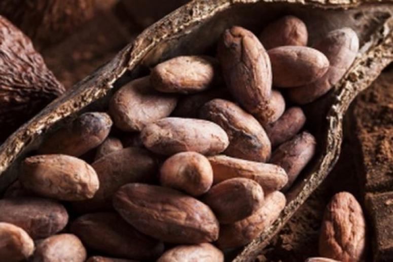 В какао обнаружены вещества, обращающие вспять резистентность к инсулину при ожирении
