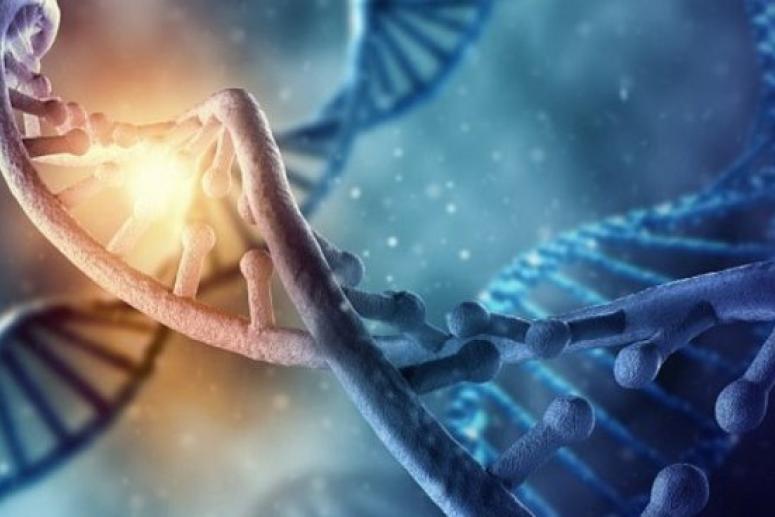 В «мусорных» ДНК человека обнаружили причину рака и деменции