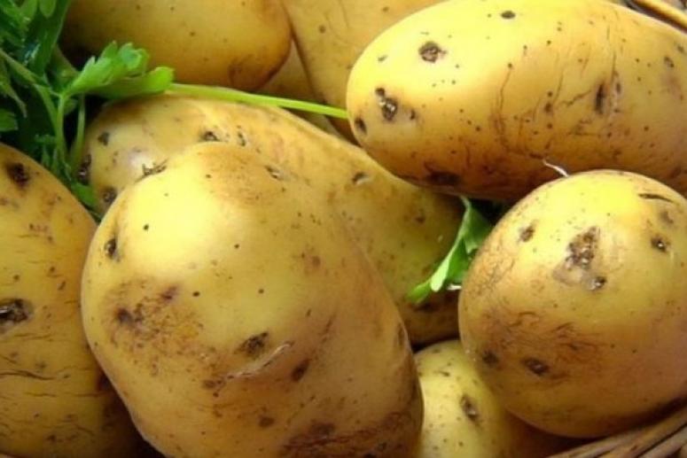 Молодой картофель защищает от рака