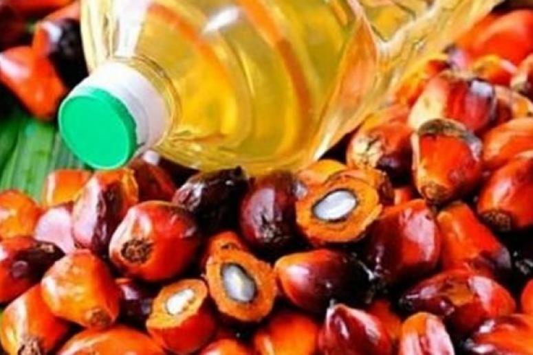 Роспотребнадзор назвал полезные и вредные свойства пальмового масла