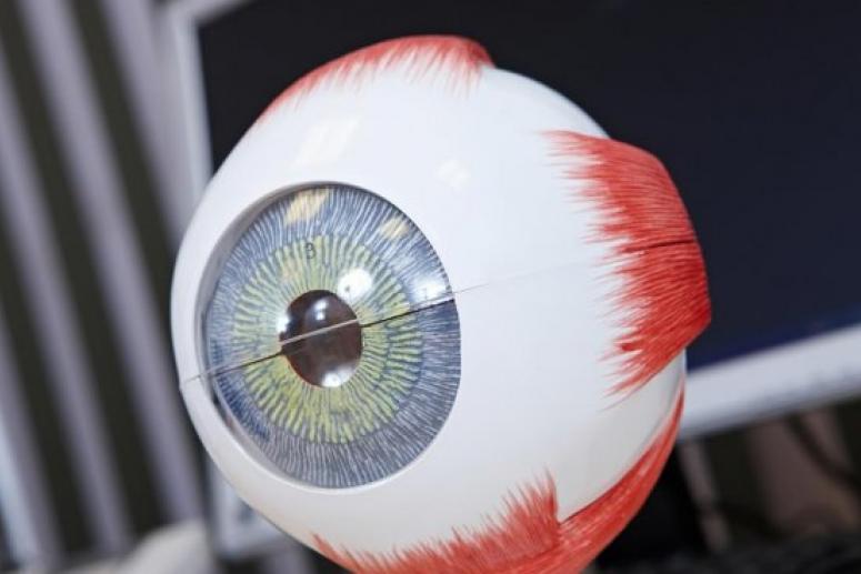 В Германии созданы безвредные для глаз контактные линзы