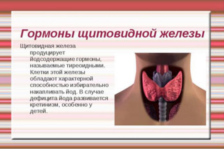 Гормоны щитовидной железы и их диагностическое значение